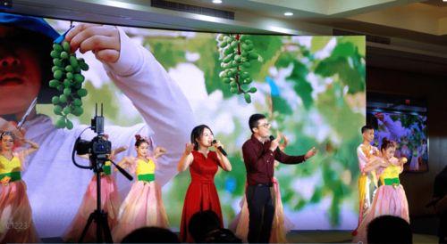 我们的生活充满阳光在线观看,在线观看的温暖心灵之旅  第3张